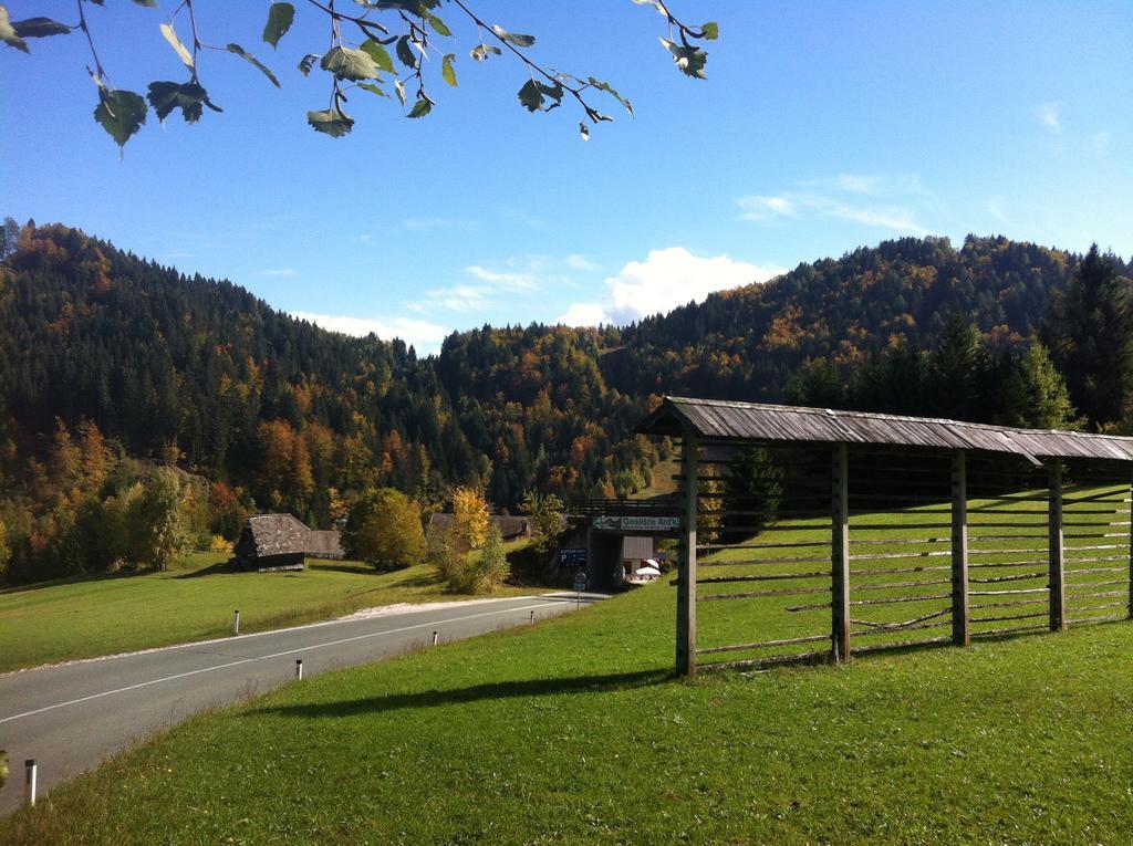 Bed&Breakfast Anz'K Bled Eksteriør billede